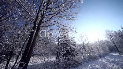 Landschaft im Winter mit Schnee