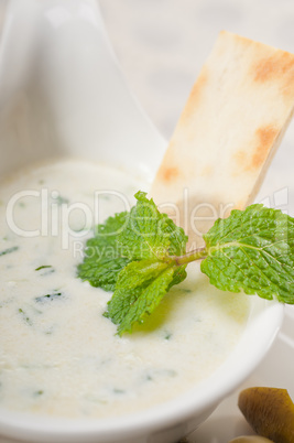 Greek Tzatziki yogurt dip and pita bread