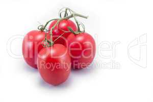 Tomatoes with vine isolated on white