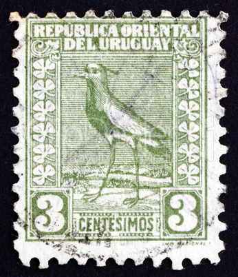 Postage stamp Uruguay 1919 Southern Lapwing, Wader Bird
