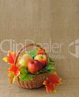 apples in the basket