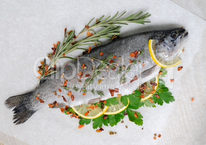 fresh trout with lemon and spices