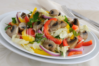 vegetable salad with mushrooms