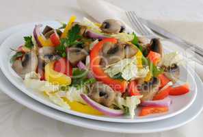 vegetable salad with mushrooms