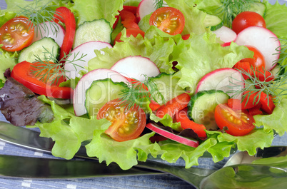 buzzer salad of fresh vegetables