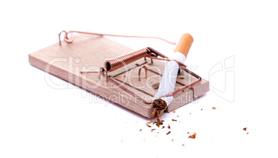 mousetrap with smashed cigarette