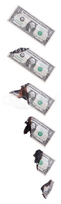 concept of burning dollars