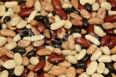 Mixed dry beans