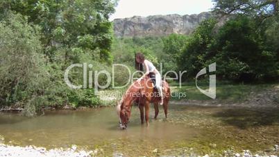 Horse crossing a river
