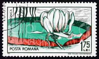 Postage stamp Romania 1965 Victoria Amazonica, Flowering Plant