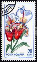 Postage stamp Romania 1965 Orchid, Paphiopedilum Insigne