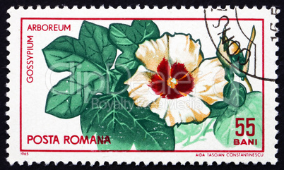 Postage stamp Romania 1965 Tree Cotton, Shrub