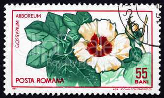 Postage stamp Romania 1965 Tree Cotton, Shrub