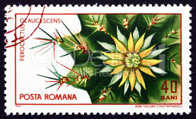 Postage stamp Romania 1965 Ferocactus Glaucescens, Cactus