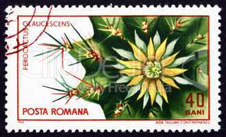 Postage stamp Romania 1965 Ferocactus Glaucescens, Cactus