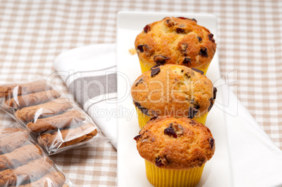 fresh chocolate and raisins muffins