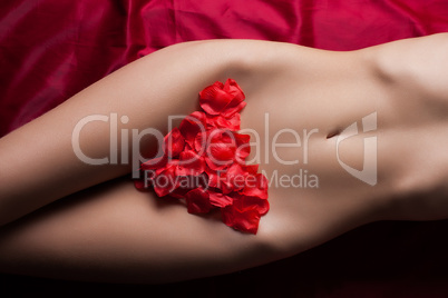 Fragment of woman body with rose petals