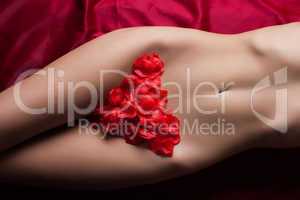 Fragment of woman body with rose petals