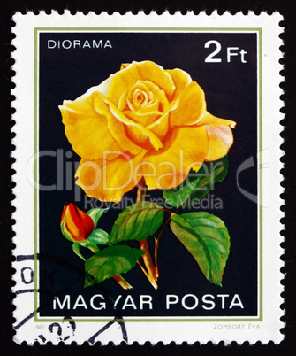 Postage stamp Hungary 1982 Diorama, Rose Flower
