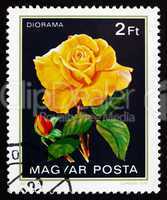 Postage stamp Hungary 1982 Diorama, Rose Flower