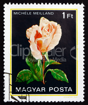 Postage stamp Hungary 1982 Michele Meilland, Rose Flower