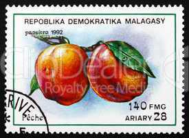 Postage stamp Malagasy 1992 Peaches, Prunus Persica, Fruit