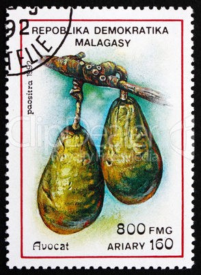 Postage stamp Malagasy 1992 Avocado, Persea Americana, Fruit