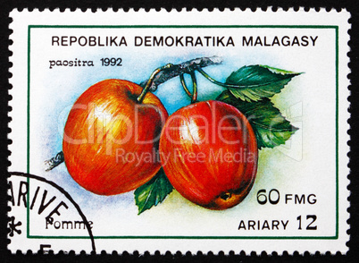 Postage stamp Malagasy 1992 Apples, Malus Domestica