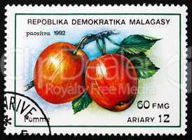 Postage stamp Malagasy 1992 Apples, Malus Domestica