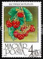 Postage stamp Hungary 1986 European Raspberry, Rubus Idaeus