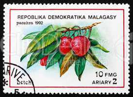 Postage stamp Malagasy 1992 Lychee, Tropical Fruit