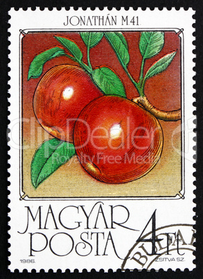 Postage stamp Hungary 1986 Apples, Malus Domestica