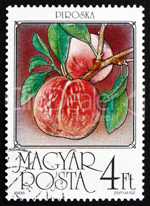 Postage stamp Hungary 1986 Peaches, Prunus Persica, Fruit