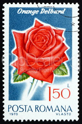 Postage stamp Romania 1970 Orange Delbard, Rose Cultivar