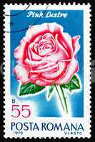 Postage stamp Romania 1970 Pink Luster, Rose Cultivar