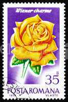 Postage stamp Romania 1970 Wiener Charme, Rose Cultivar