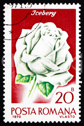 Postage stamp Romania 1970 Iceberg Rose, Rose Cultivar