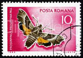 Postage stamp Romania 1969 Willowherb Hawkmoth, Moth