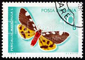 Postage stamp Romania 1969 Pericallia Matronula, Moth, Butterfly