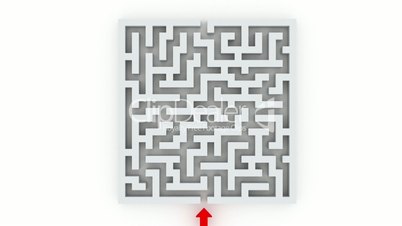 through the labyrinth