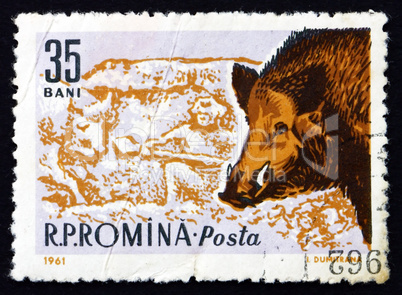 Postage stamp Romania 1961 Boar, Sus Scrofa, Animal