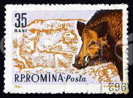 Postage stamp Romania 1961 Boar, Sus Scrofa, Animal
