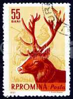 Postage stamp Romania 1961 Red Deer, Cervus Elaphus, Animal