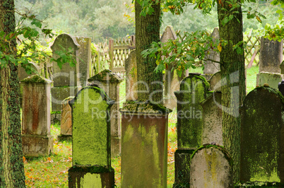 Juedischer Friedhof - jewish cemetary 09