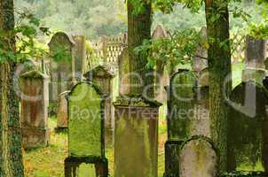 Juedischer Friedhof - jewish cemetary 09