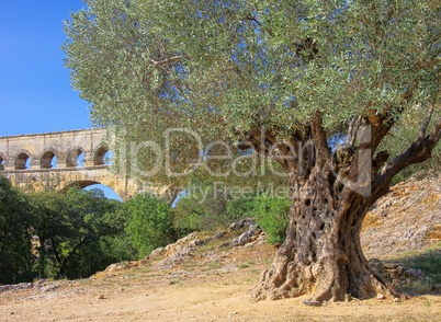 Pont du Gard 11