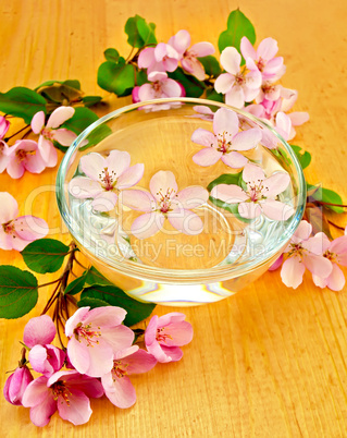 Apple blossom in a cup of water