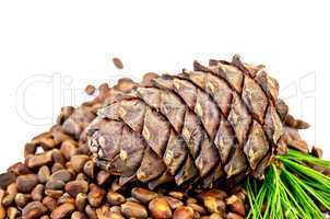 Cedar nuts with a cone and a sprig