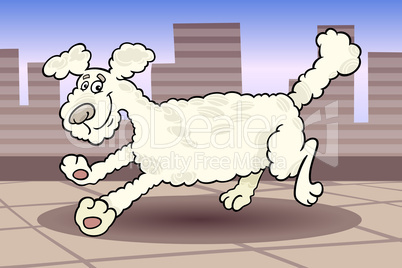 running poodle dog cartoon illustration