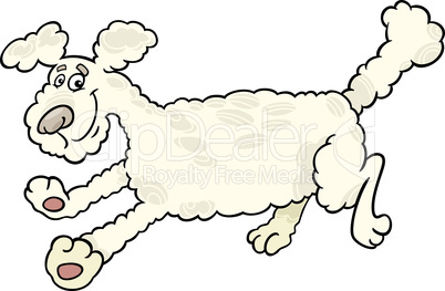 running poodle dog cartoon illustration